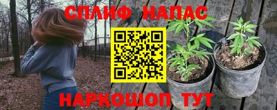 индика Краснодар